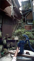 ihiyo.jpg (13469 �o�C�g)