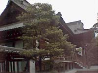 kouenji.jpg (10565 �o�C�g)