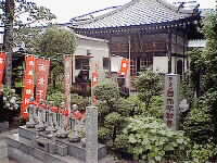 meaka.jpg (9511 �o�C�g)