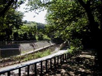 wadabori.jpg (13024 �o�C�g)