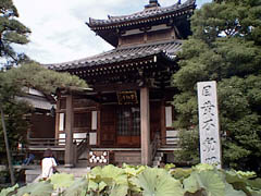 meki.jpg (18863 �o�C�g)