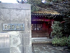 meki1.jpg (15742 �o�C�g)