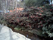 otaka.jpg (9476 �o�C�g)