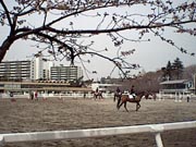 bajutu.jpg (10484 �o�C�g)