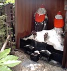 sio_jizo.jpg (6921 �o�C�g)